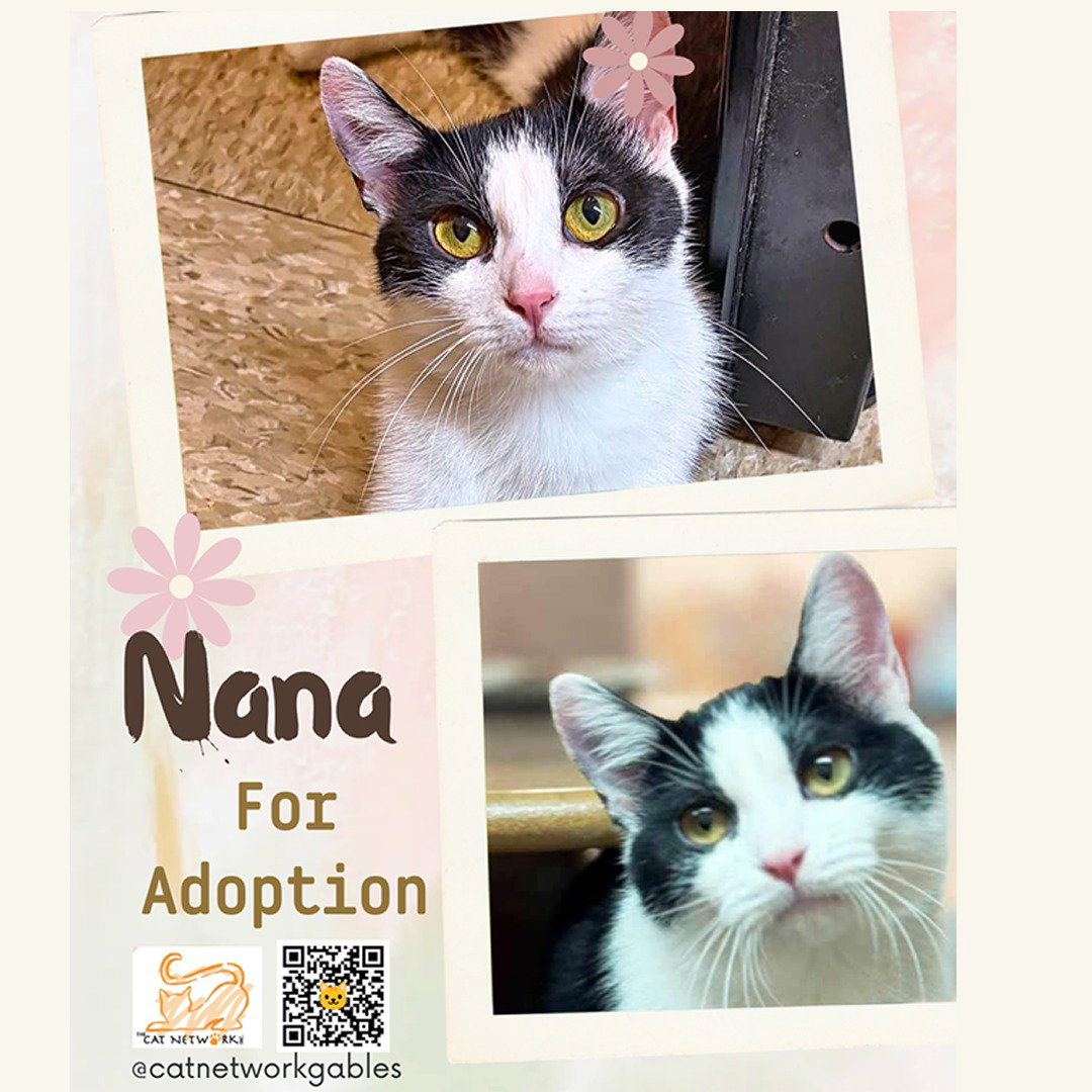 Nana, photo 3