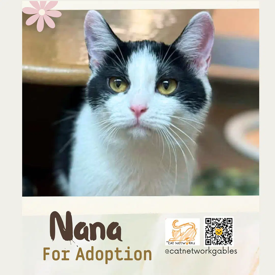 Nana image 4