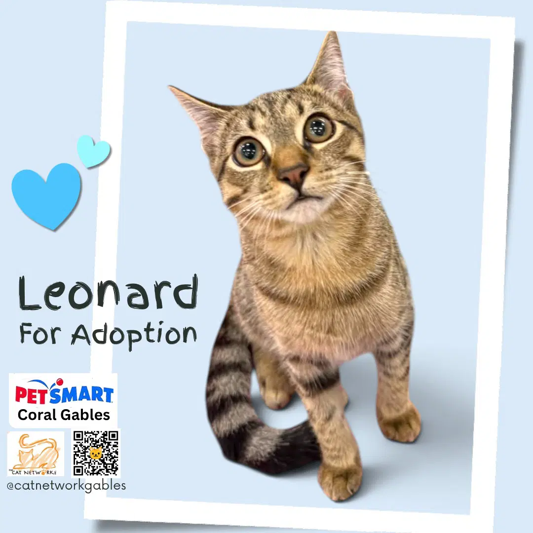 Leonard image 1