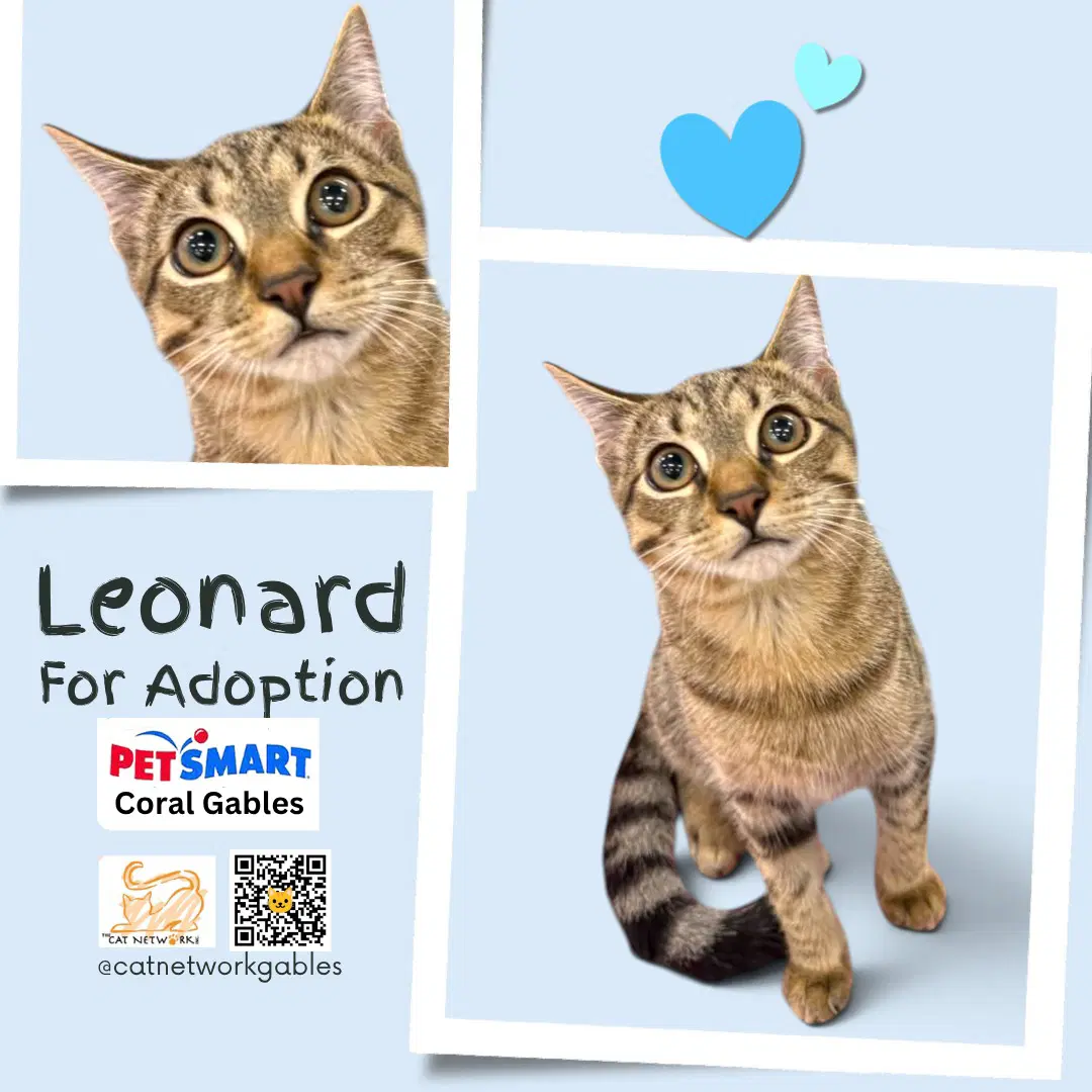 Leonard image 2