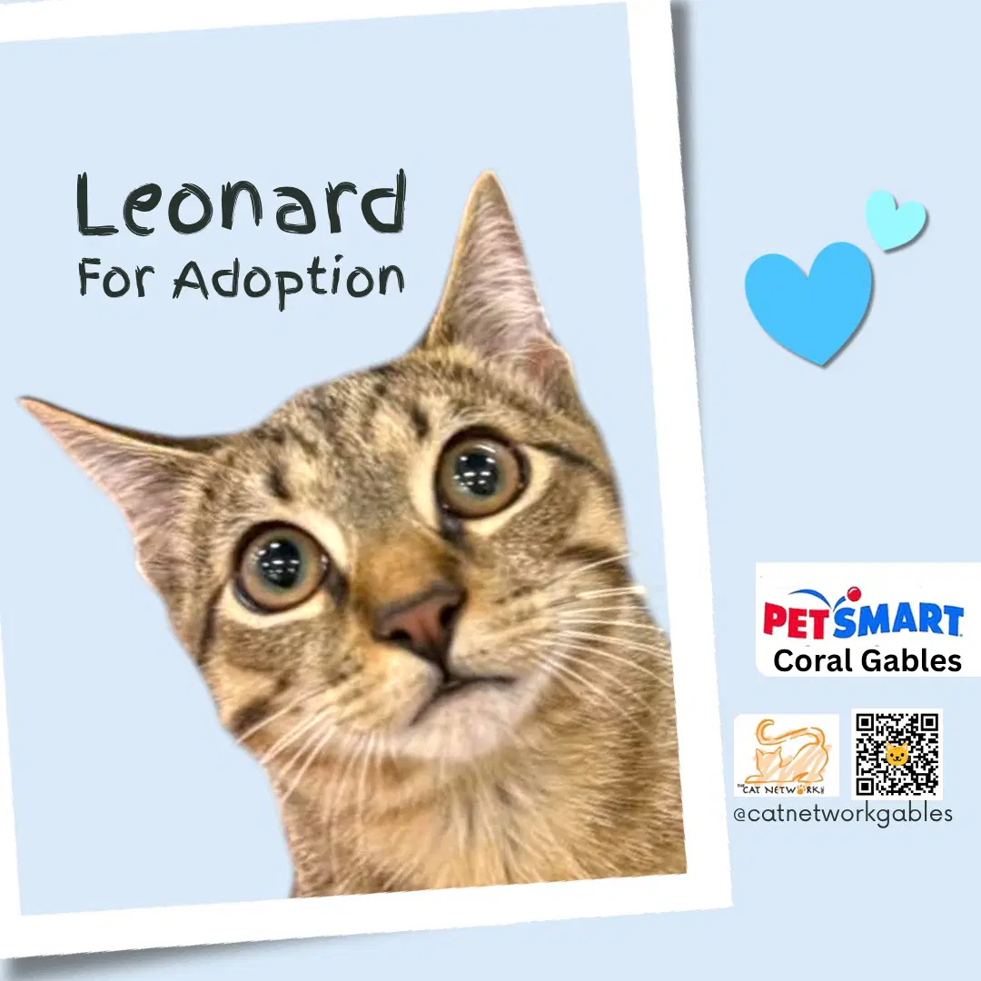 Leonard image 3