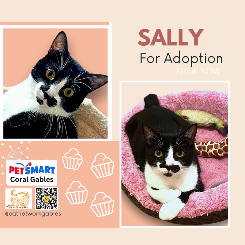 Sally, photo 4