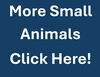 adoptable Rabbit in waterford, VA named MORE SMALL ANIMALS
