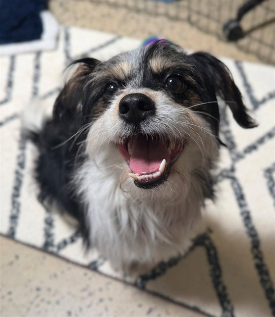 BENNY