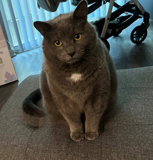 SMOKEY