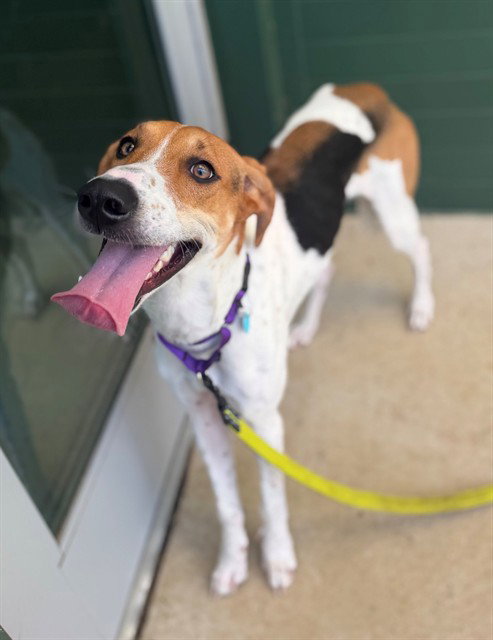 Roscoe