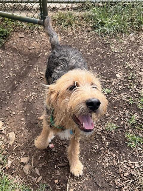Max