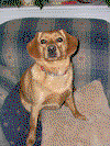 Sunny-ADOPTED!!