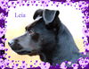 Princess Leia/ADOPTED!!