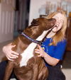 Conall-ADOPTED!