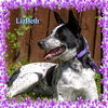 LizBeth/ADOPTED!