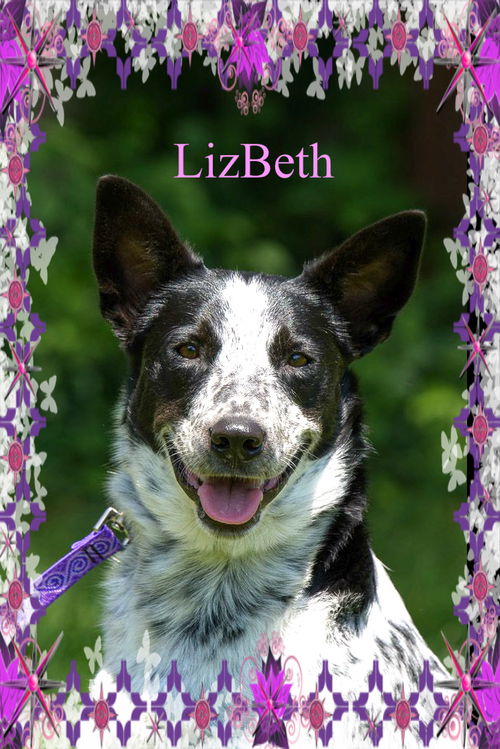 LizBeth/ADOPTED!