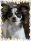 Trixie/Jagger