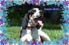 Aurora (Rori) ADOPTED