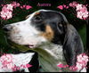 Aurora (Rori) ADOPTED