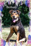 Bethany/ADOPTED!