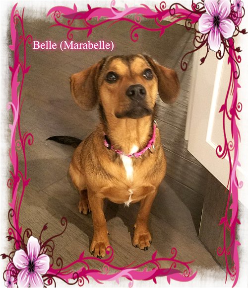 MaraBelle/ADOPTED!