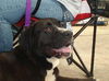 Ariabella-Ying-ADOPTED!!