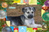 Arlena/ADOPTION PENDING!!