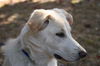 Rudy Went Home 05!