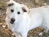 Rudy Went Home 05!