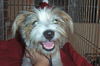 Jingle Bells- Went Home 05!
