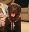 Brownie/Harley Went Home 05!
