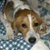 Cooper - Went Home 05!