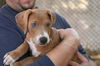 Ty/Dexter Went Home '05!