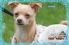 Chrissy/ADOPTED!