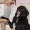 Charleen/ADOPTED!