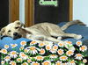 Channing/ADOPTED!!