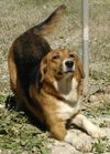 Chelly  has gone home!