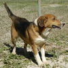 Chelly  has gone home!