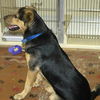 Buddy Has Gone Home!