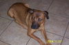 Jewel Went Home!