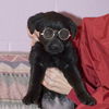 Marlie-ADOPTED!!
