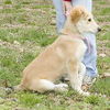 Roxy/Xena Adopted!!
