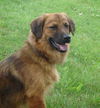 Keyes-ADOPTED!!