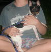 Dennis/ADOPTED!