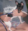 Dennis/ADOPTED!