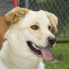 Pris/Roxie-ADOPTED!!