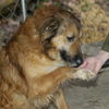 Max Egan - Adopted!
