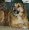 Max Egan - Adopted!