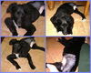 Joseph/ADOPTED!