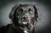 Joseph/ADOPTED!