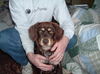 CoCo-ADOPTED!!!