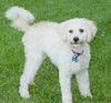 ChaChi-ADOPTED!!