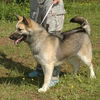 Sunny-ADOPTED!!!