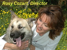 Sunny-ADOPTED!!!